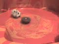 DRIGER MS VS OTHERS BEYBLADES