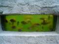 videos de KingFish