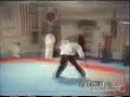 Martial Arts   Tae Kwon Do   Extreme Kicks 2