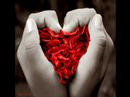 Feliz Niver meu amor!!