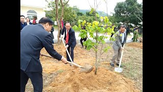 Trường Đại học Ngoại thương cơ sở Quảng Ninh: Phát động Tết trồng cây đầu xuân và trao bằng tốt nghiệp chương trình Thạc sỹ EMBA khóa 1