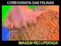 niver do serginho !   a star is born   parte 3