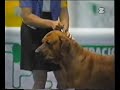 FILA BRASILEIRO part II
