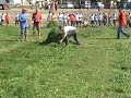 22. DKI - Grabljenje