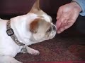 See video