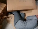 Crime dans le box 4