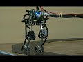My bipedal robot finally walking! My bipedal robot finally walking!