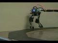 My bipedal robot finally walking!