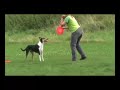 Xeni und Holly - Discdogging - 1. Film