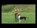 Xeni und Holly - Discdogging - 1. Film