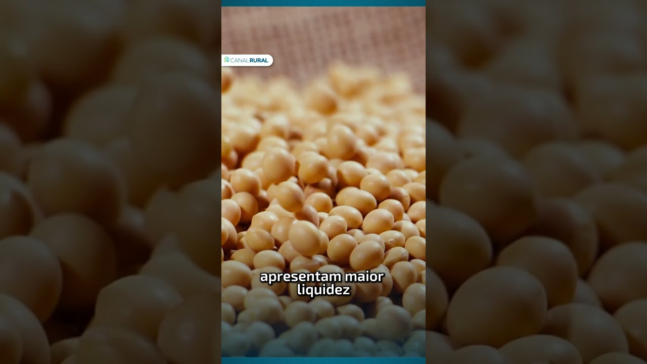 Mercado em 1 minuto: baixa demanda e aumento na oferta pressionam valores do feijão