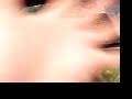 matts pets matts pets
