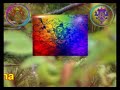 green-tara-.html