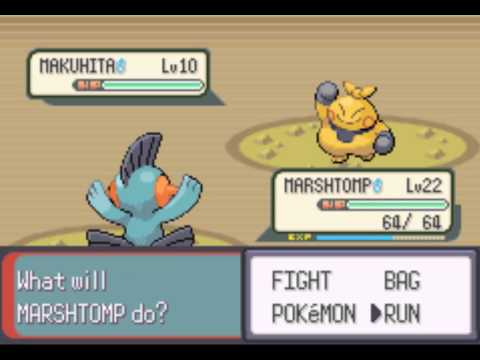 how to share exp in pokemon emerald