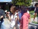 cobach norte 08
