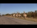 From Botswana to Victoria Falls, Zimbabwe