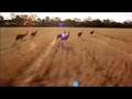 Outback Queensland
