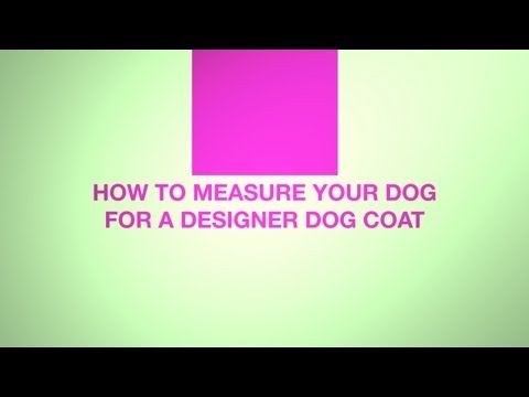 how to measure dog for coat