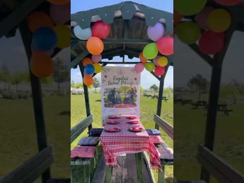 Video Galeri