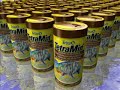 Aquaristikfachgeschäft Hilden Aquaristik-Dreams Meerwasser