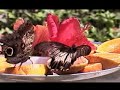 Papillon en libert�