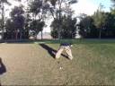 Dylan G Golfing @ Craig Ranch Golf Course in North Las Vegas