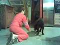 delia mon chien