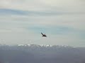 Condor voando sobre os Andes/Condor volando sobre los Andes Condor voando sobre os Andes/Condor volando sobre los Andes