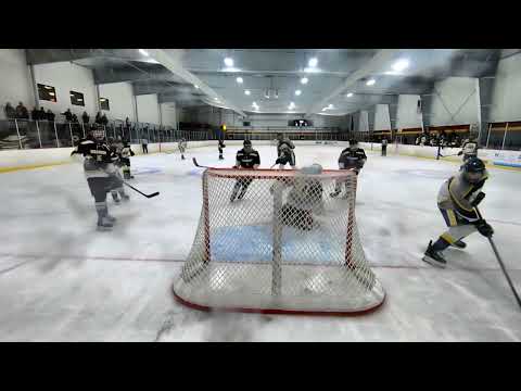 Freshman Year (2021-2022) Highlights