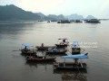 L��le et le parc national de Cat Ba