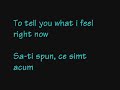 Dragostea Din Tei English Translated