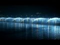 OASE Fountain Technology - Banpo Bridge Fountain 1-2