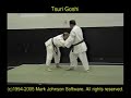 tecnicas de judo ascenso a verde