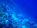 Immersioni a Sharm