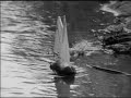 Wilma - Een klomp met een zeiltje (1969)