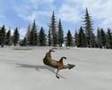 Deer Hunter 2005 AWESOME Kill