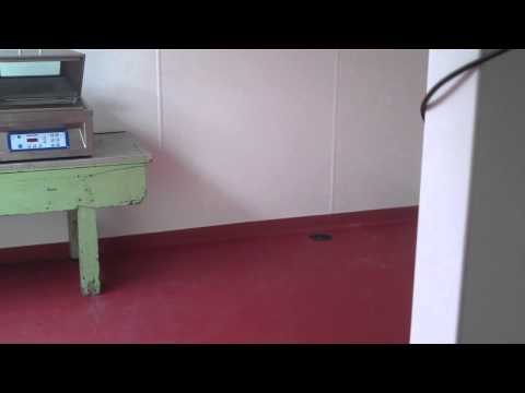 how to fit ceiling cladding