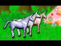 charlie-the-unicorn.html