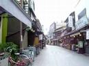 Walking  Shibamata  Taisyakuten~~River Edogawa  ?????????