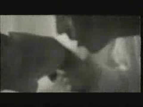 ورده فيلم سكس وعادل ادهم
