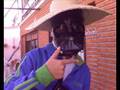 Fotos LBDP