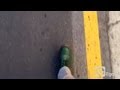 House Republic Nuggetz Official Music Video and Lyrics