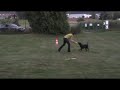 Tanja und Fina - Discdogging Tanja und Fina - Discdogging