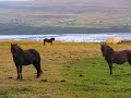 The Road to Akureyri