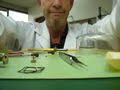 watchmaking 101