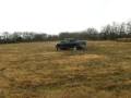 videos de dodge cummins in the mud