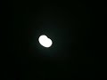 The doors, Megan Fox, free bird and the moon The doors, Megan Fox, free bird and the moon