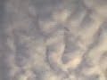 Scie chimiche sull\ Scie chimiche sull\