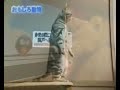 смешное видео про животных