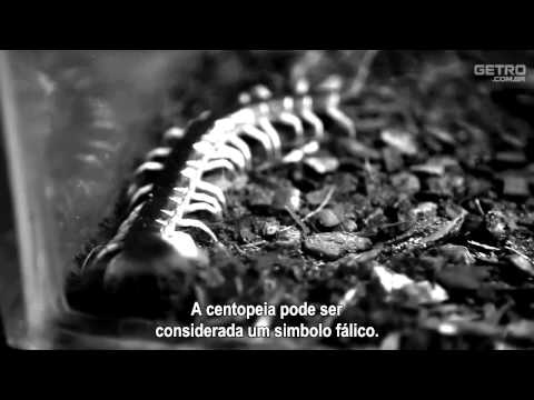 Centopeia Humana 2 0 Centopeia Humana 2